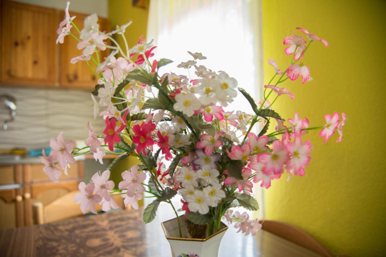 Yeti Guest House Mavrovo Ngoại thất bức ảnh